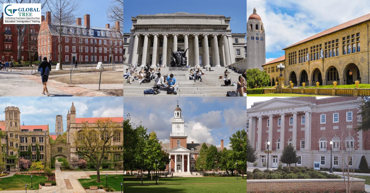 Free universities in the US are institutions that provide potential students the chance to study in the country without having to pay tuition.
