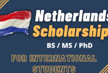 NL Scholarship for international students 2024 | Apply Now