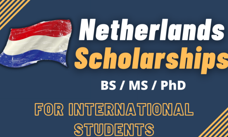 NL Scholarship for international students 2024 | Apply Now