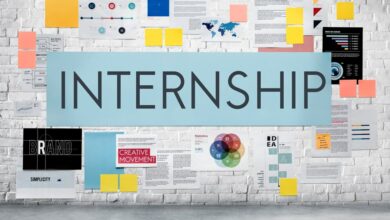 UNDP Seeks Project Management Support Intern in New York, USA - Apply by 12/24/2023