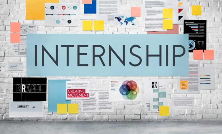 UNDP Seeks Project Management Support Intern in New York, USA - Apply by 12/24/2023